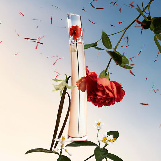 GIFT SET ABSOLUE